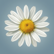 The Art of Flora App Icon